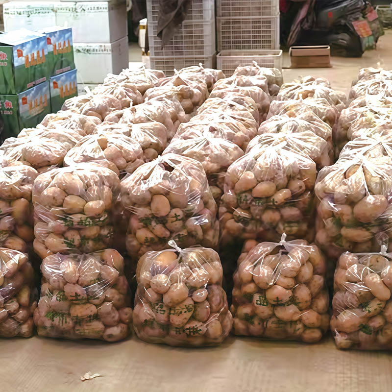 High-Pressure Anti-Fog Tote Bag