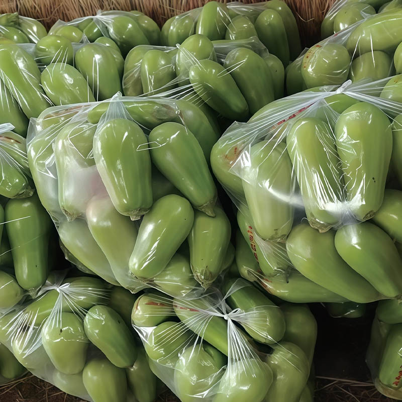 High-Pressure Anti-Fog Tote Bag